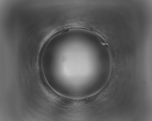 X0000051920248200506241516