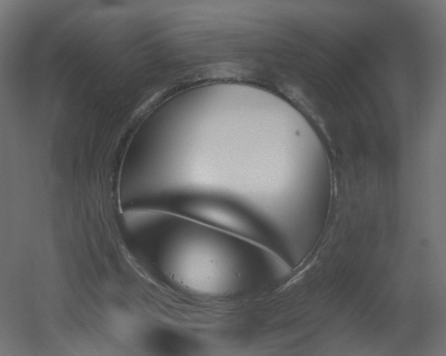 X0000051920249200506241516