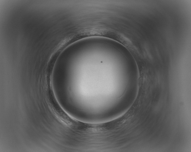 X0000051920250200506241516