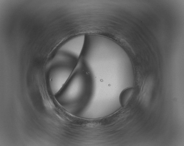 X0000051920251200506241516