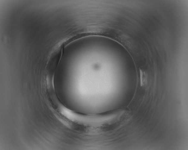 X0000051920252200506241516