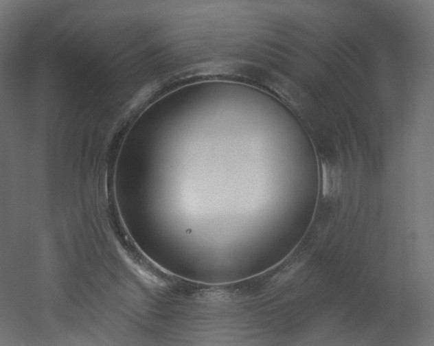 X0000051920253200506241516