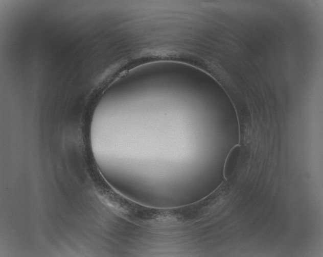 X0000051920256200506241516