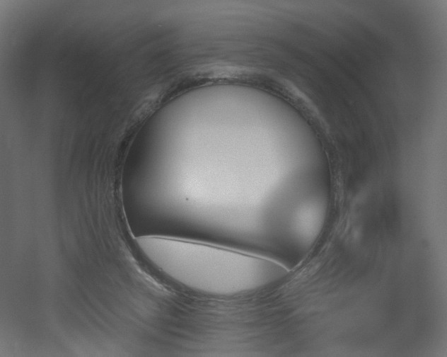 X0000051920257200506241516