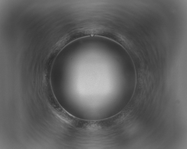 X0000051920258200506241516