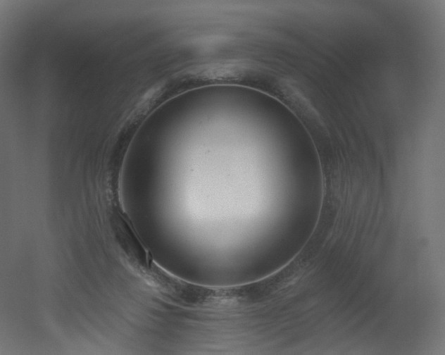 X0000051920260200506241516