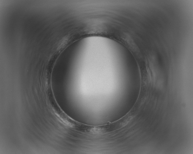 X0000051920261200506241516