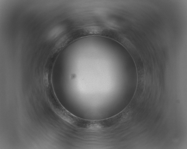 X0000051920262200506241516