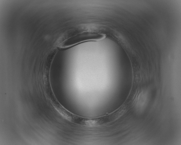 X0000051920265200506241516