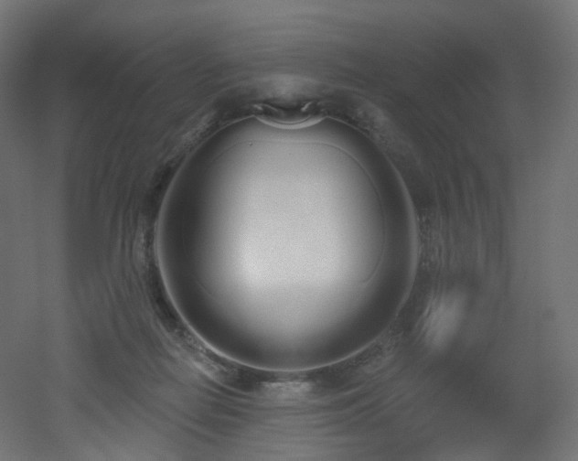 X0000051920266200506241517
