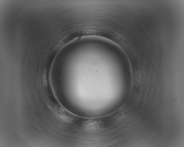 X0000051920267200506241517