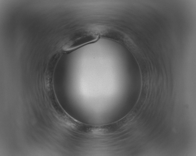 X0000051920268200506241517