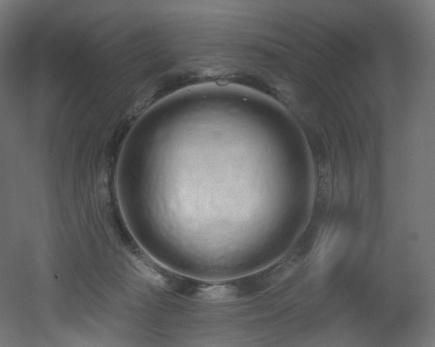 X0000051920269200506241517