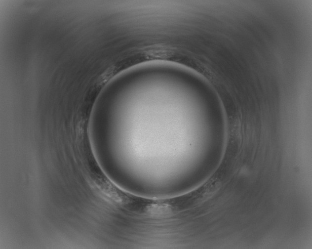 X0000051920271200506241517