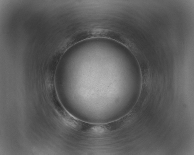 X0000051920272200506241517