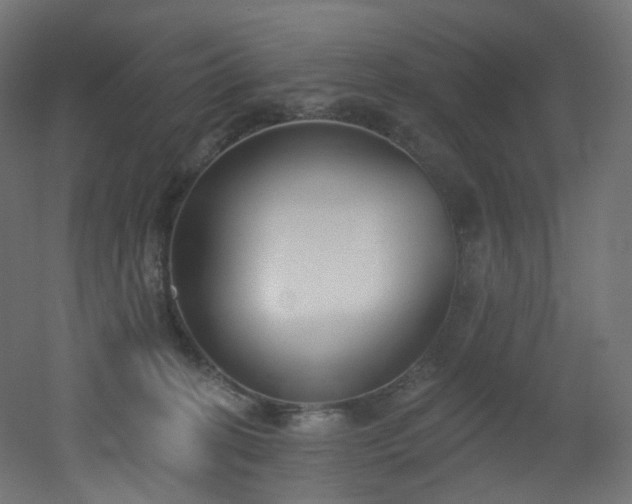 X0000051920274200506241517