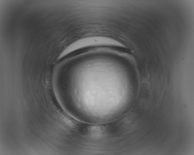 X0000051920277200506241517