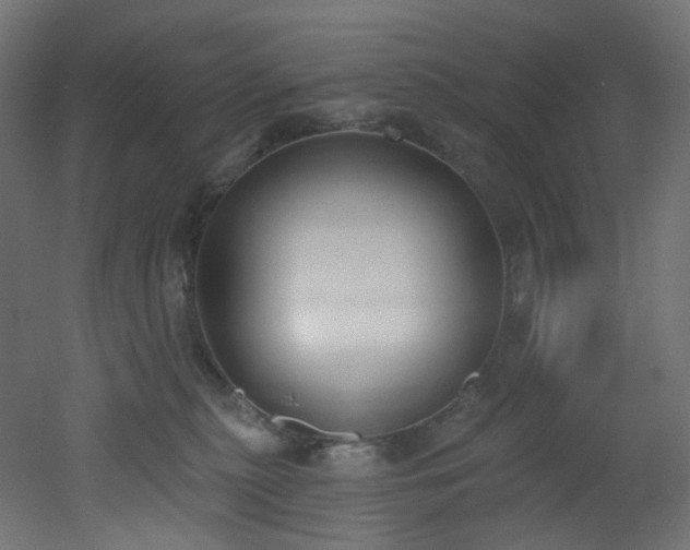 X0000051920279200506241517