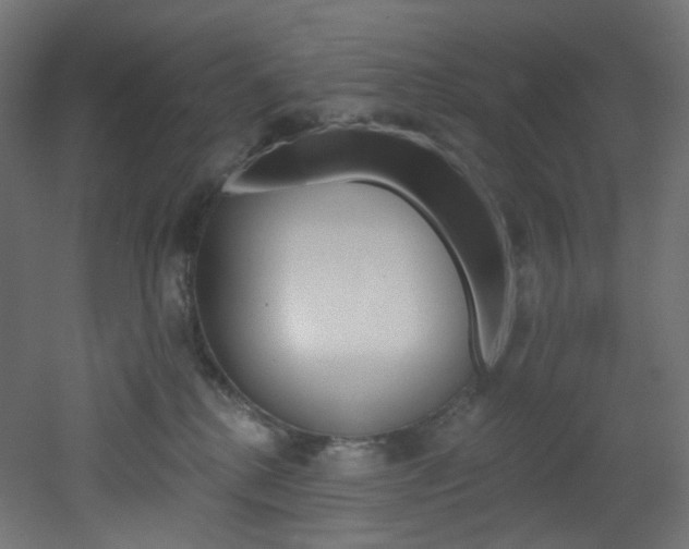 X0000051920280200506241517