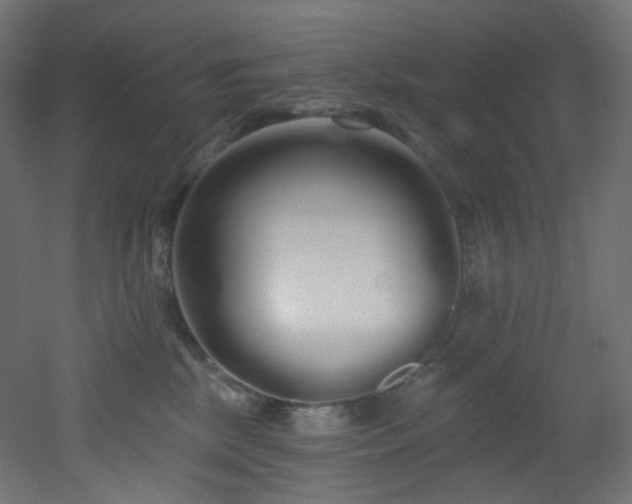 X0000051920281200506241517