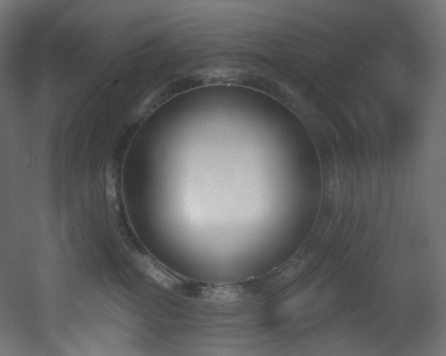 X0000051920282200506241517