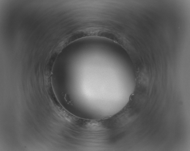 X0000051920283200506241517