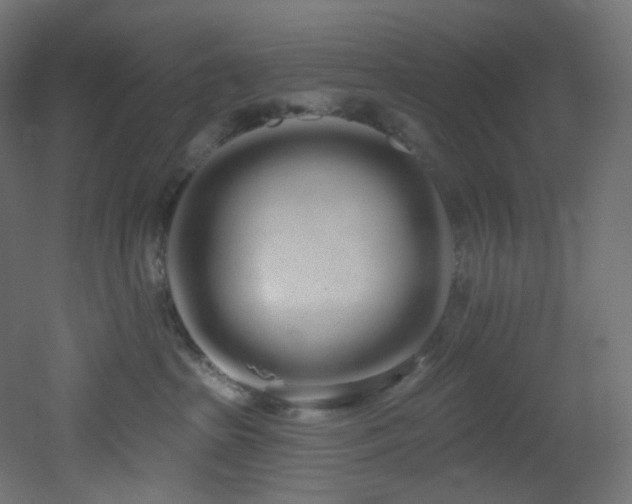 X0000051920285200506241517
