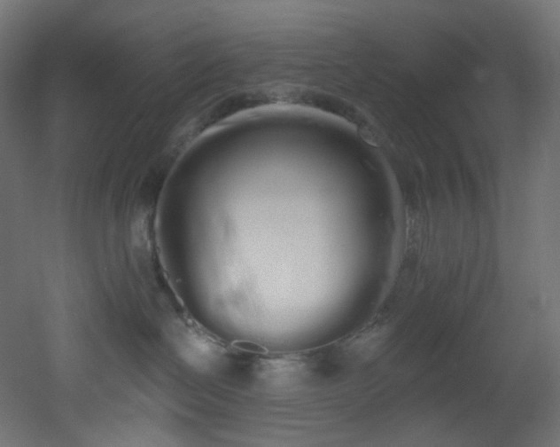 X0000051920286200506241517