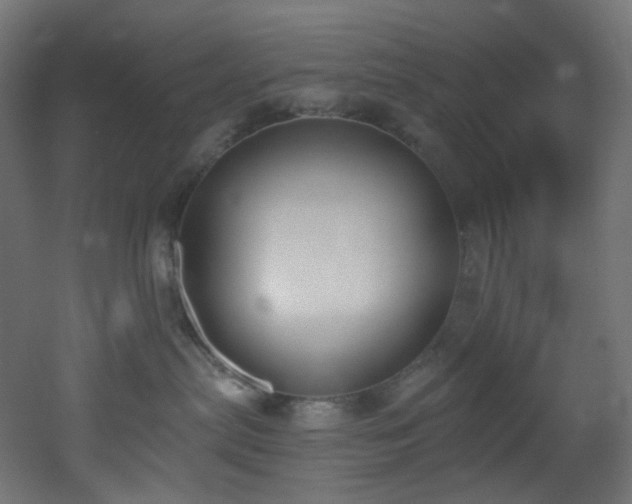 X0000051920287200506241517