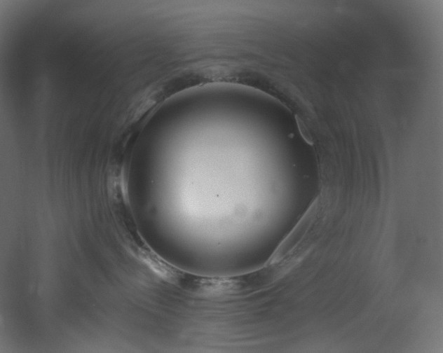 X0000051920288200506241517