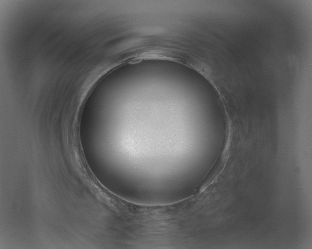 X0000051920289200506241516