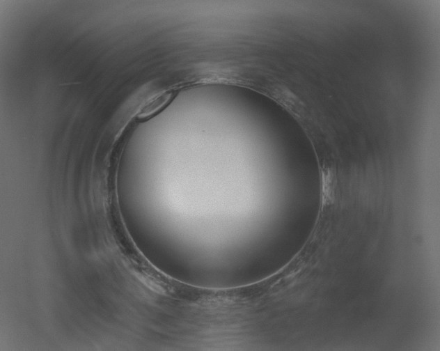 X0000051920291200506241516
