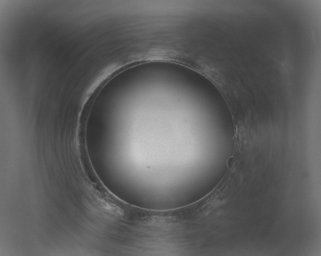 X0000051920292200506241516