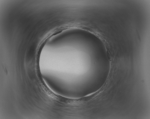X0000051920293200506241516