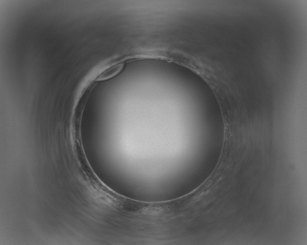X0000051920294200506241516