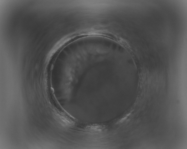 X0000051920295200506241516