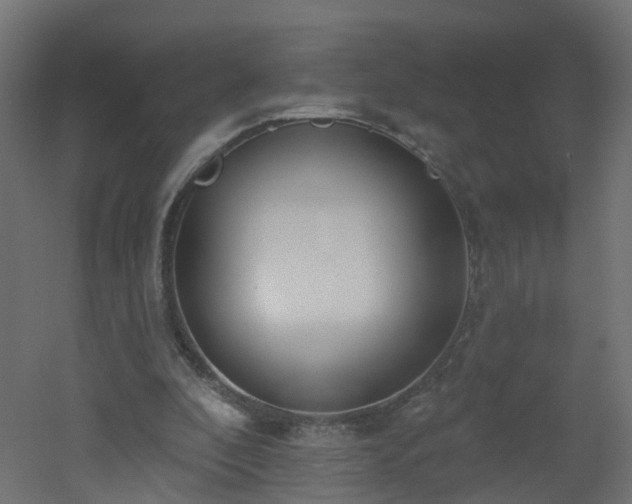 X0000051920296200506241516