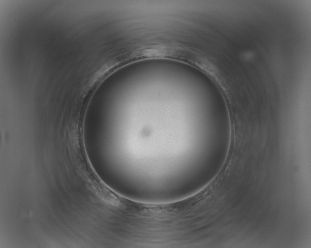 X0000051920297200506241516