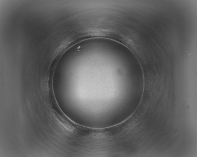 X0000051920299200506241516