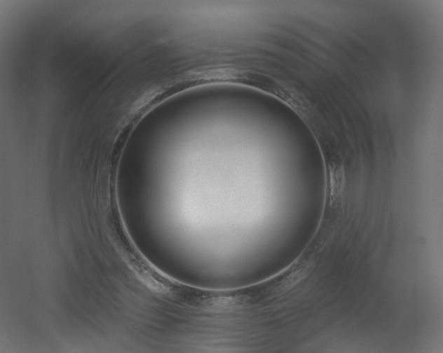 X0000051920301200506241516