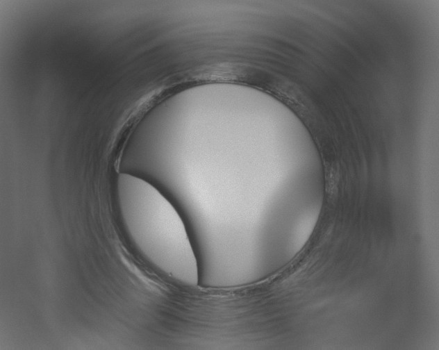 X0000051920302200506241516