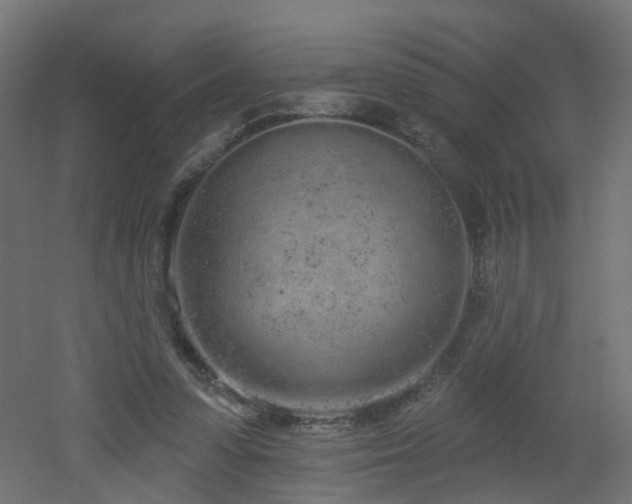 X0000051920303200506241516