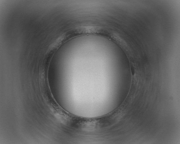 X0000051920306200506241516