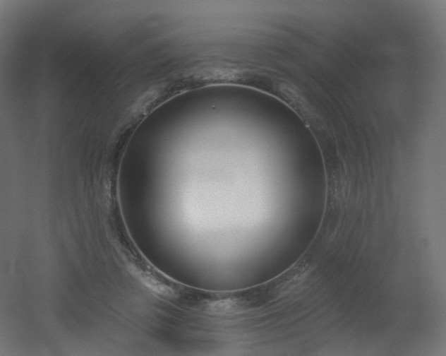X0000051920309200506241516