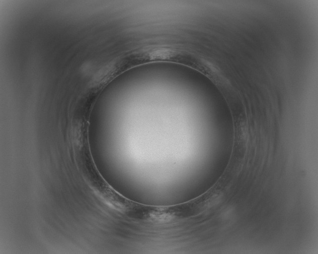 X0000051920311200506241516