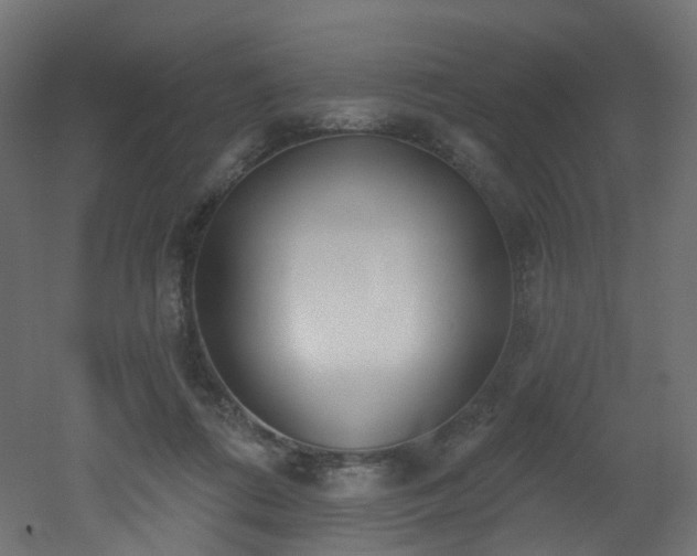 X0000051920312200506241516