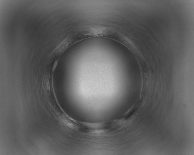 X0000051920313200506241516