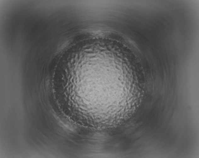X0000051920314200506241516