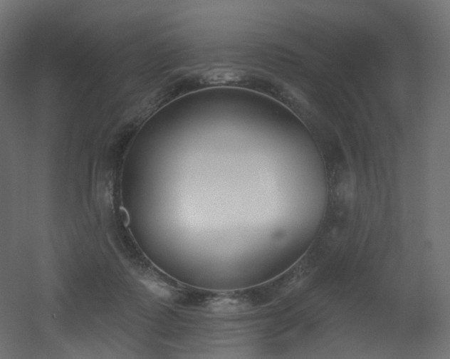 X0000051920315200506241516