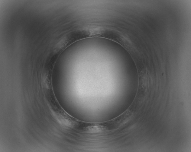 X0000051920316200506241516